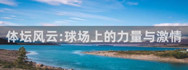 球速体育：体坛风云:球场上的力量与激情