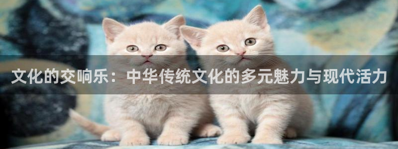 球速体育：文化的交响乐：中华传统文化的多元魅力与现代活力