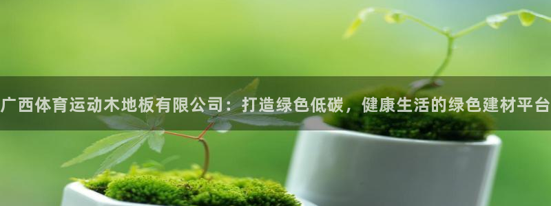 球速体育：广西体育运动木地板有限公司：打造绿色低碳，健康生活的绿色建材平台