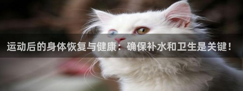 球速体育：运动后的身体恢复与健康：确保补水和卫生是关键！