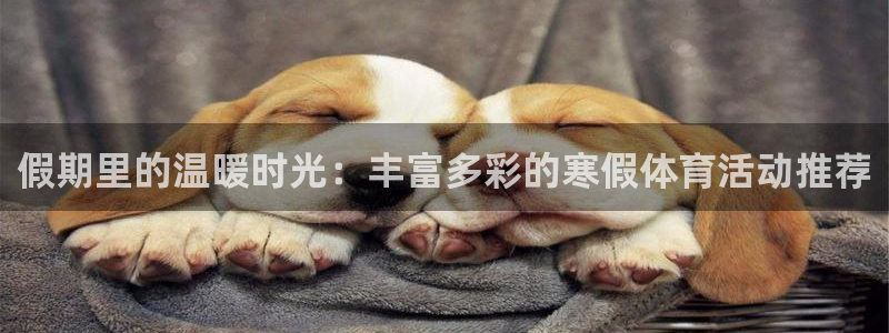 球速体育：假期里的温暖时光：丰富多彩的寒假体育活动推荐