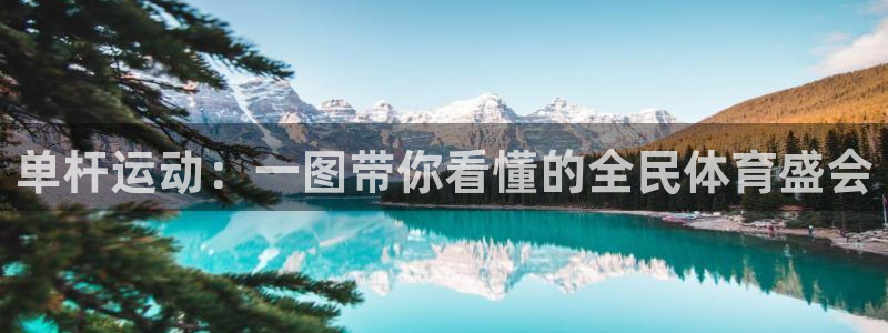球速体育：单杆运动：一图带你看懂的全民体育盛会