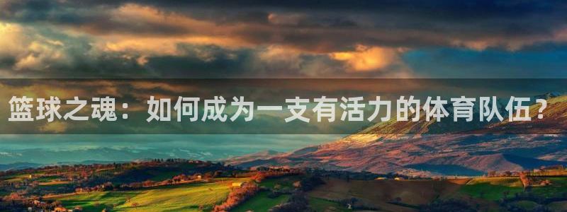 球速体育：篮球之魂：如何成为一支有活力的体育队伍？
