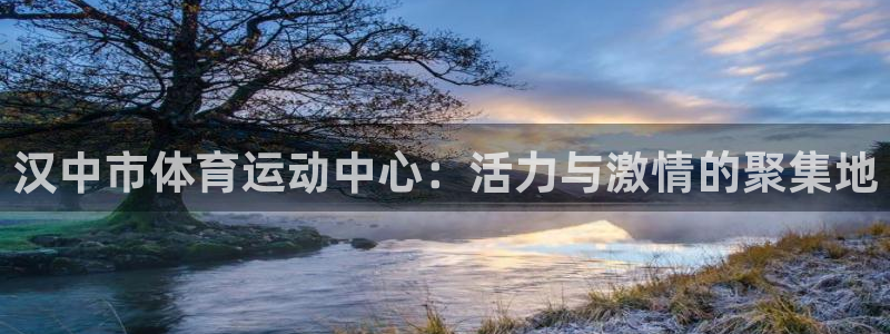 球速体育：汉中市体育运动中心：活力与激情的聚集地