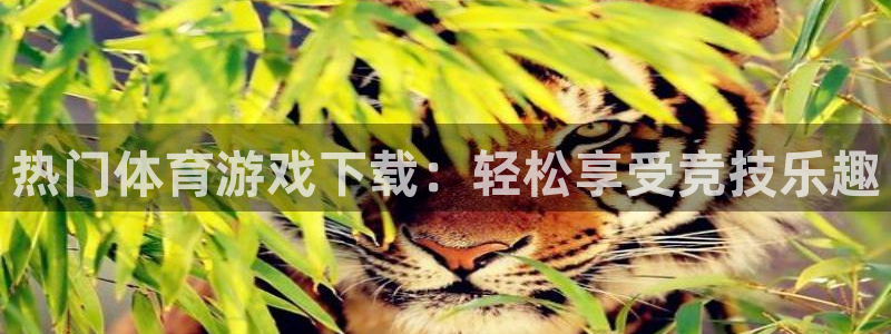 球速体育：热门体育游戏下载：轻松享受竞技乐趣