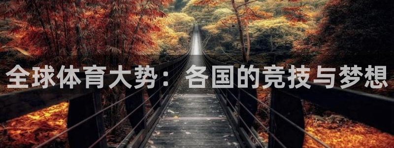 球速体育：全球体育大势：各国的竞技与梦想