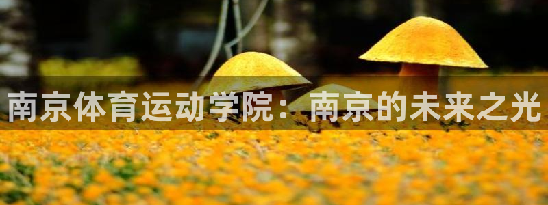 球速体育：南京体育运动学院：南京的未来之光