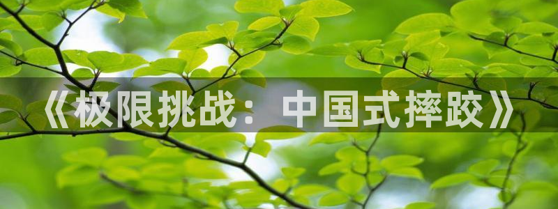 球速体育：《极限挑战：中国式摔跤》