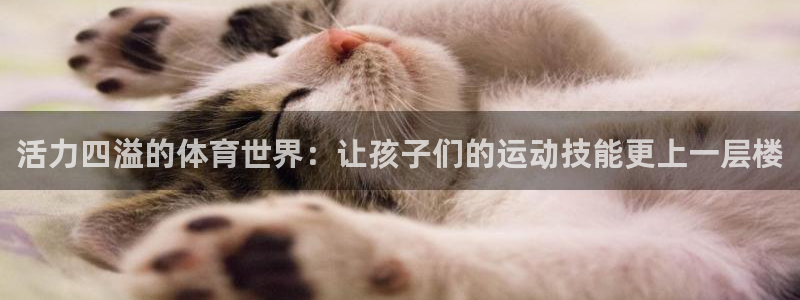 球速体育：活力四溢的体育世界：让孩子们的运动技能更上一层楼