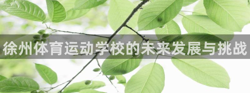 球速体育：徐州体育运动学校的未来发展与挑战