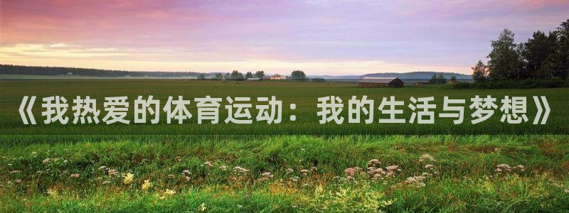 球速体育：《我热爱的体育运动：我的生活与梦想》