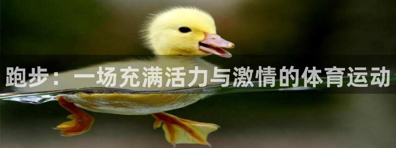 球速体育：跑步：一场充满活力与激情的体育运动