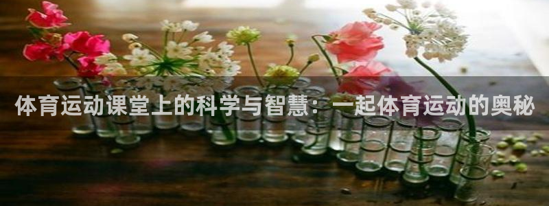 球速体育：体育运动课堂上的科学与智慧：一起体育运动的奥秘