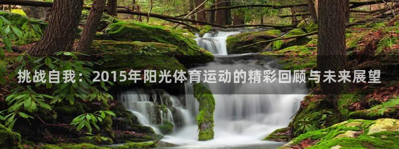 球速体育：挑战自我：2015年阳光体育运动的精彩回顾与未来展望