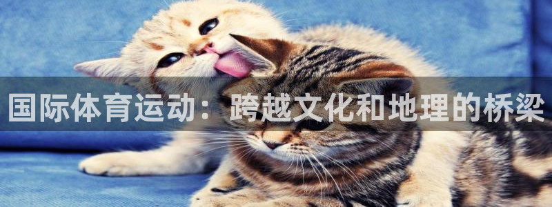 球速体育：国际体育运动：跨越文化和地理的桥梁