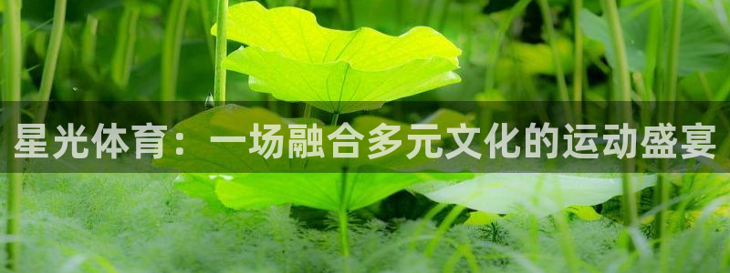 球速体育：星光体育：一场融合多元文化的运动盛宴