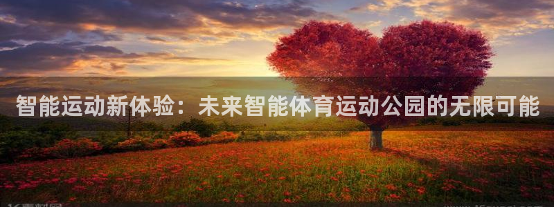 球速体育：智能运动新体验：未来智能体育运动公园的无限可能