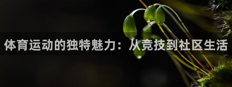球速体育：体育运动的独特魅力：从竞技到社区生活