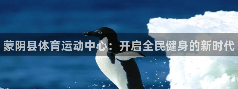 球速体育：蒙阴县体育运动中心：开启全民健身的新时代